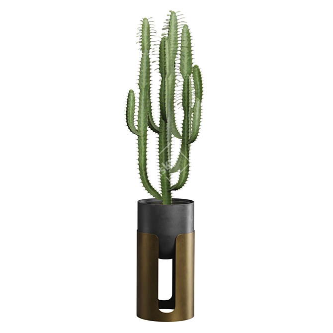 Desert Oasis 3D Cactus Set 3D model image 5