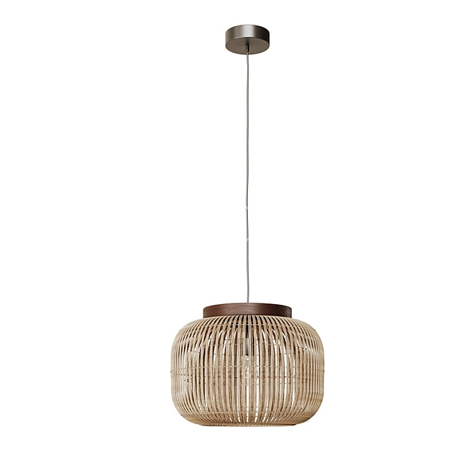 Handcrafted Rattan Pendant Light 3D model image 2