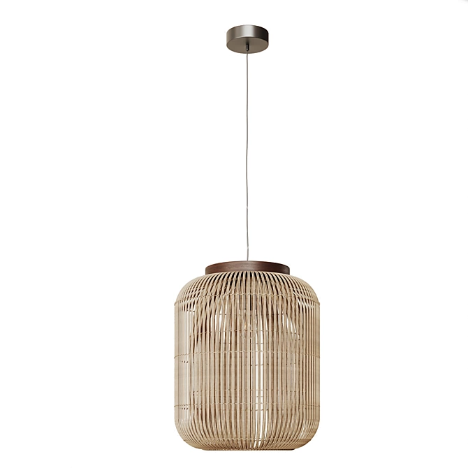 Handcrafted Rattan Pendant Light 3D model image 3