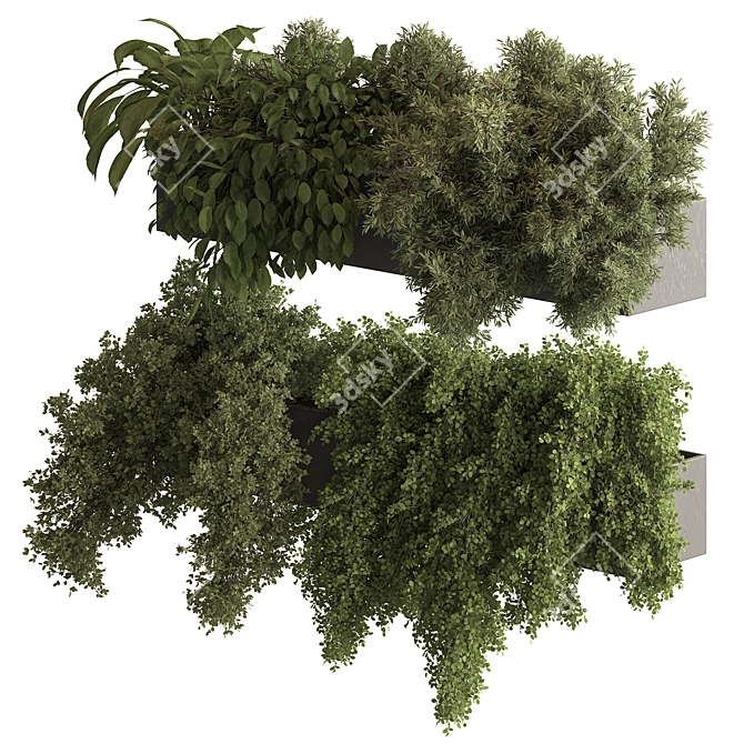 Hanging Indoor Plant 775 3D model image 2