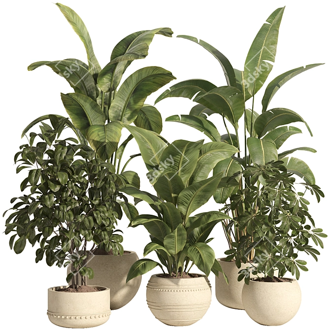 Concrete Pot Indoor Plant Set 3D model image 1