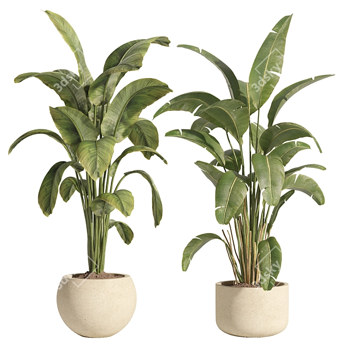 Concrete Pot Indoor Plant Set 3D model image 2