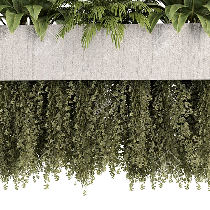 High-Quality Hanging Indoor Plant Set 3D model image 3