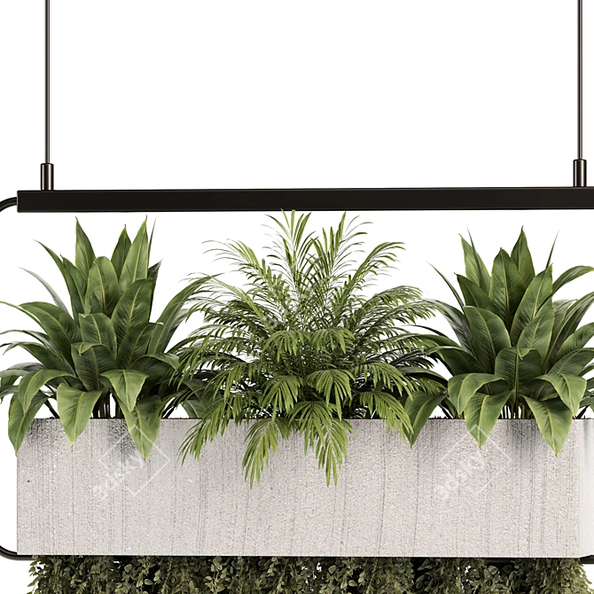 High-Quality Hanging Indoor Plant Set 3D model image 4