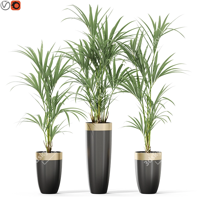 Diverse Plant Collection for 3D 3D model image 1