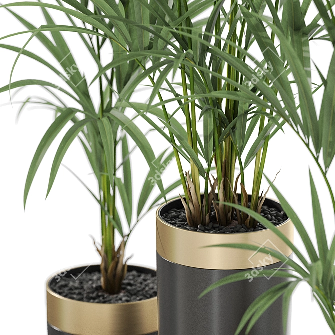 Diverse Plant Collection for 3D 3D model image 2