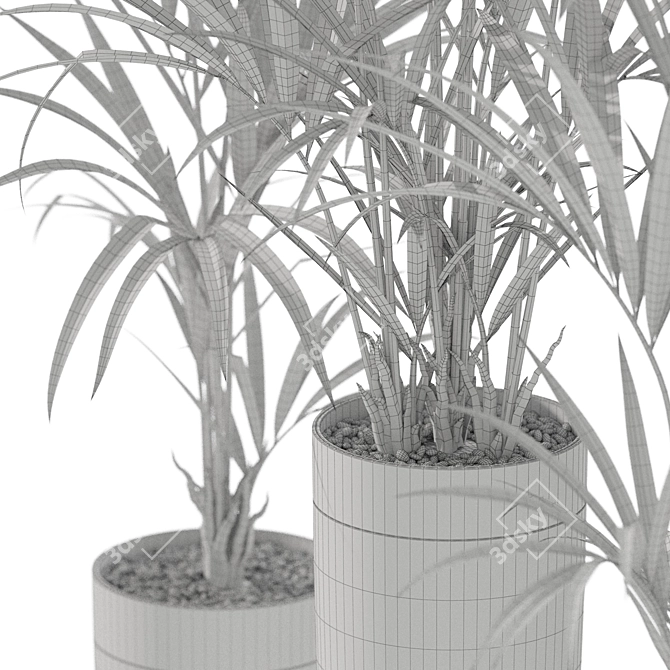 Diverse Plant Collection for 3D 3D model image 5