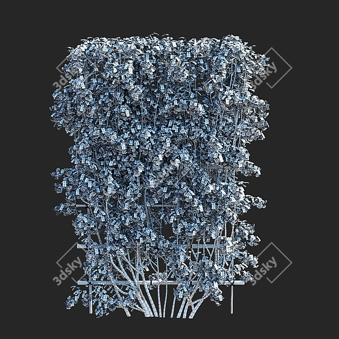 Flowering Amelanchier Lamarckii Trees 3D model image 7