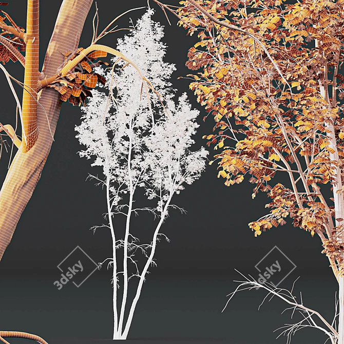 Betula Pendula 3D Tree Bundle 3D model image 6