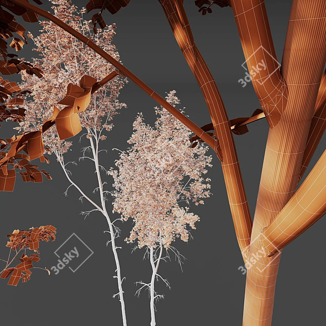 Betula Pendula 3D Tree Bundle 3D model image 7