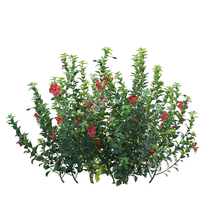 Versatile 3D Plant Models Set 3D model image 2