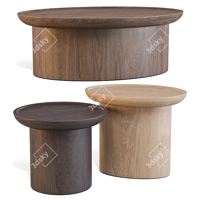 Findley Coffee & Side Tables Set 3D model image 1