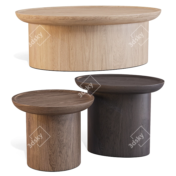 Findley Coffee & Side Tables Set 3D model image 5