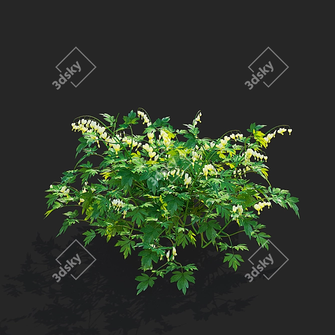 White Dicentra Spectabilis Set 3D model image 2