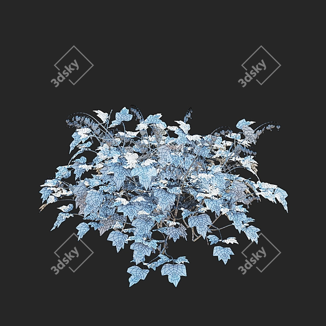 White Dicentra Spectabilis Set 3D model image 3