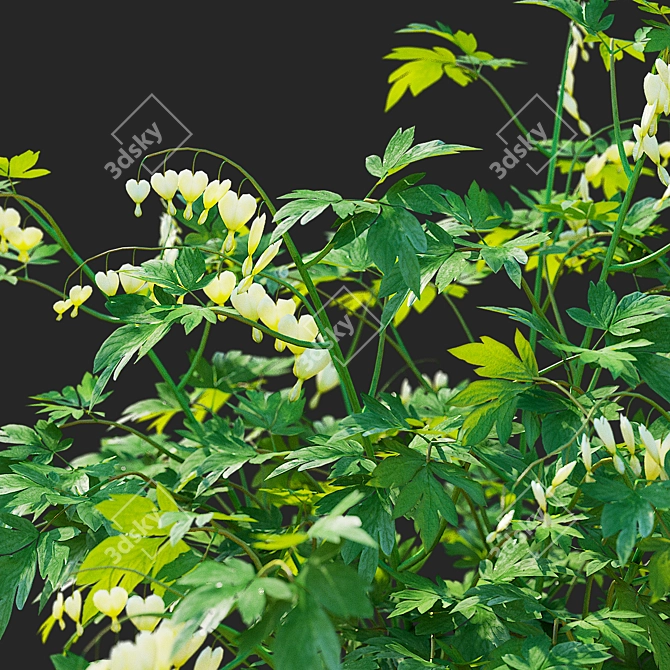 White Dicentra Spectabilis Set 3D model image 6