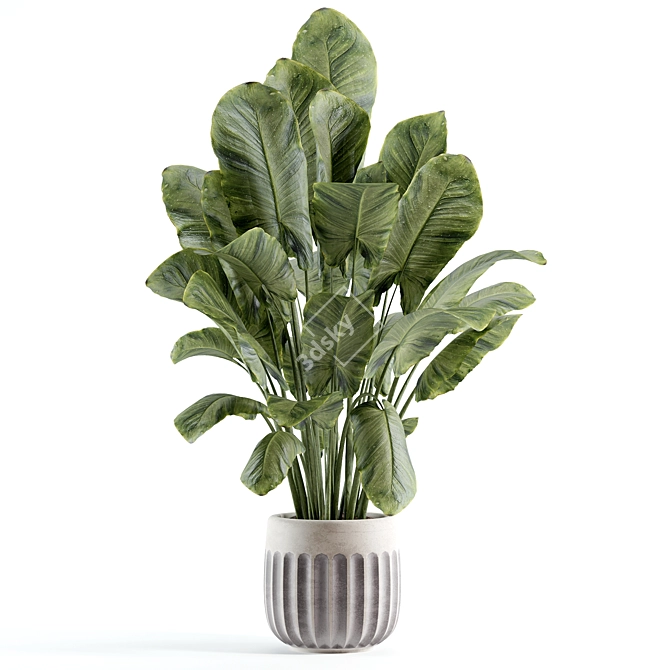 Custom Indoor Plant Model 296 3D model image 1