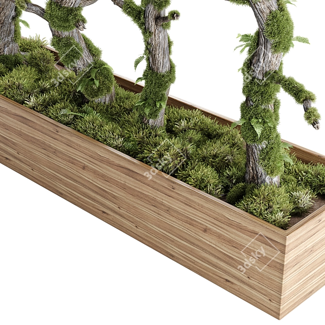 Russian Indoor Plant Tree Model 3D model image 3