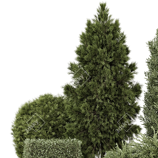 Outdoor Plants Bush Set 2389 3D model image 2