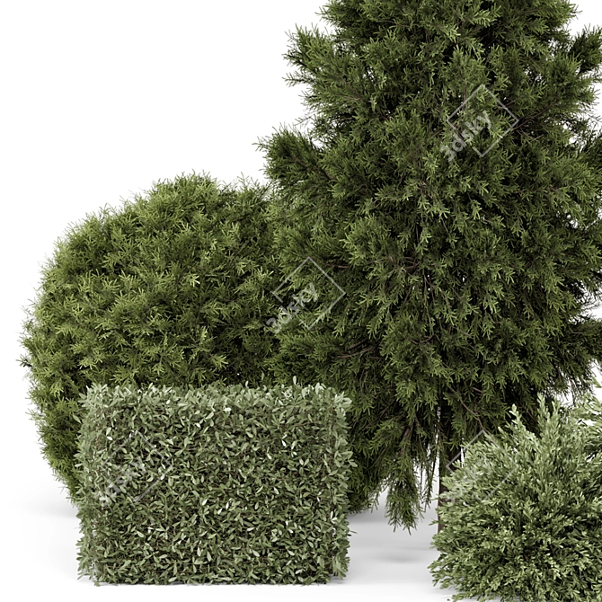 Outdoor Plants Bush Set 2389 3D model image 3