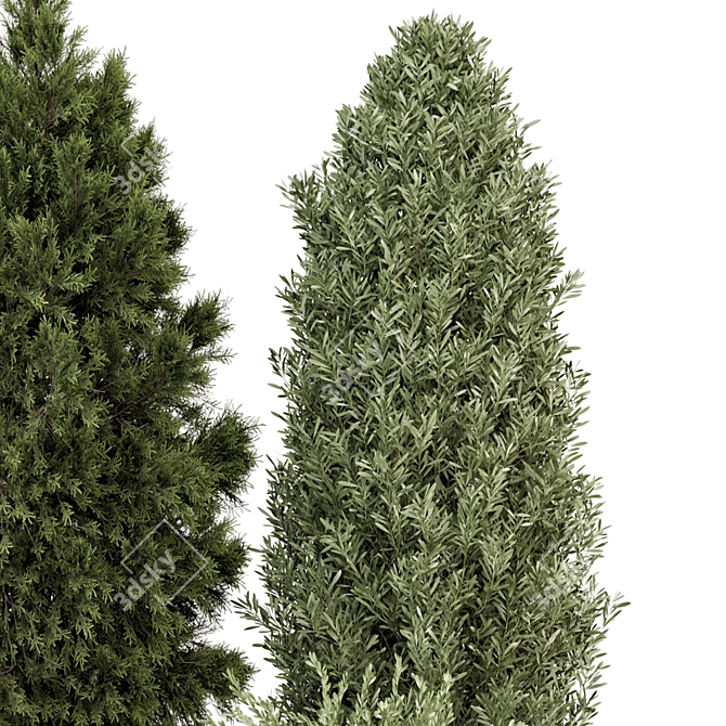 Outdoor Plants Bush Set 2389 3D model image 5