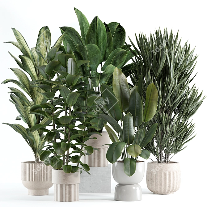 Custom Indoor Plant Model 2024 3D model image 1