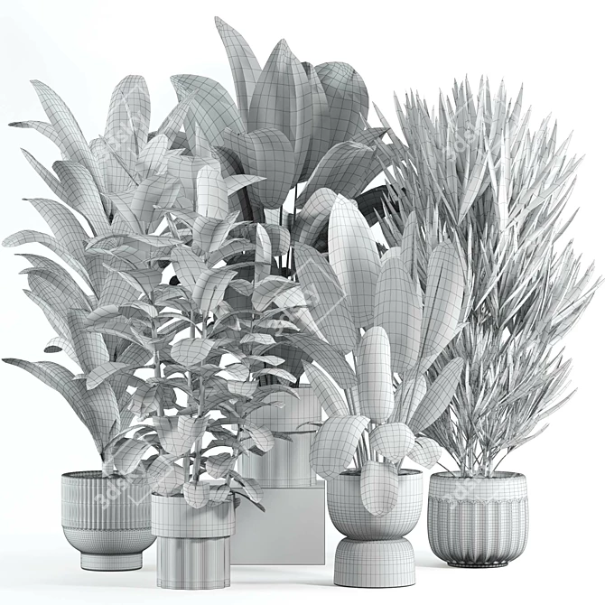 Custom Indoor Plant Model 2024 3D model image 2