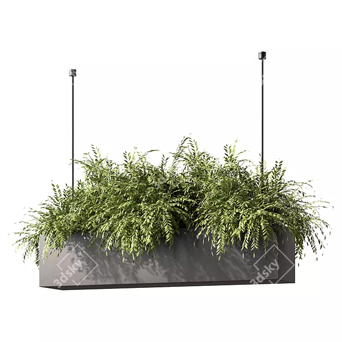 Modern Plant Hanging Trio Set 3D model image 1