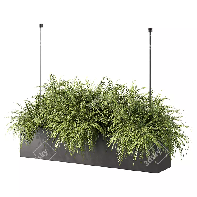 Modern Plant Hanging Trio Set 3D model image 2