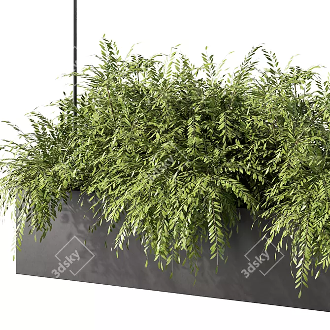 Modern Plant Hanging Trio Set 3D model image 4