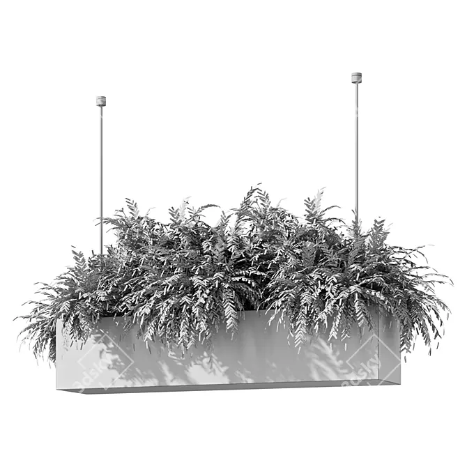 Modern Plant Hanging Trio Set 3D model image 5