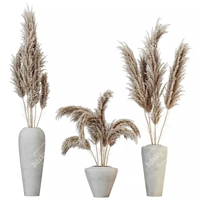 Boho Chic Pampas Grass Decor 3D model image 1