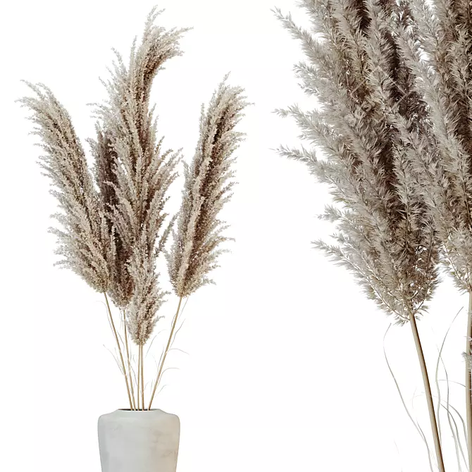 Boho Chic Pampas Grass Decor 3D model image 3