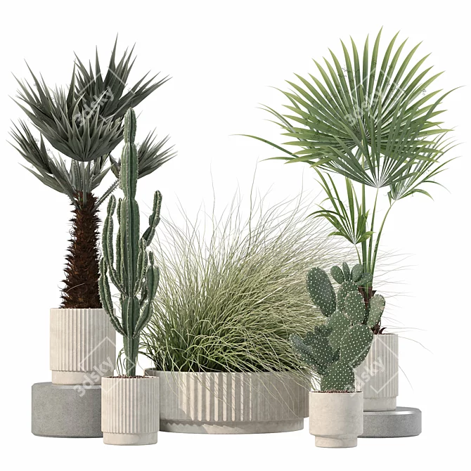 Rattan Pot Plants Collection: Palm, Grass, Cactus 3D model image 4