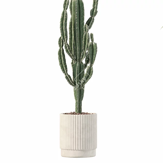 Rattan Pot Plants Collection: Palm, Grass, Cactus 3D model image 1