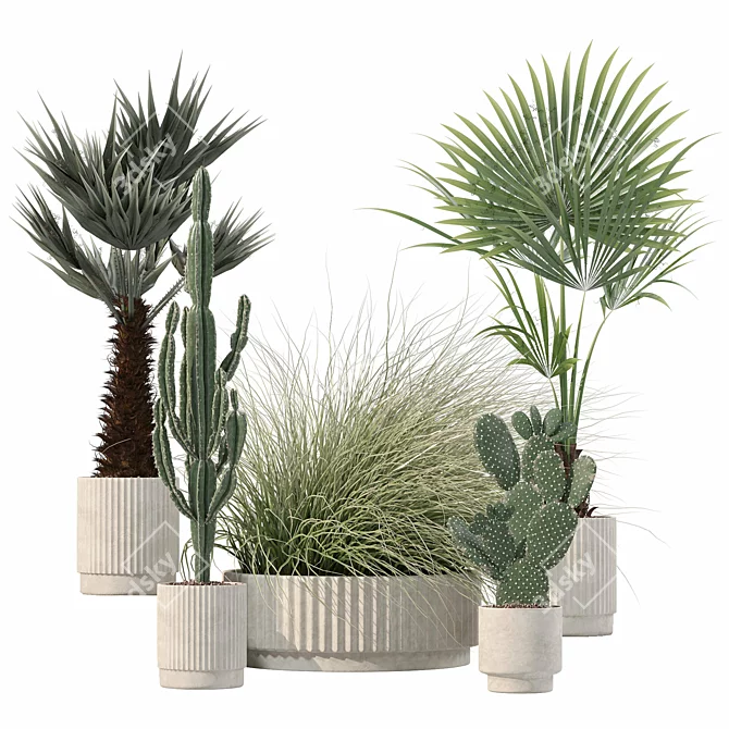 Rattan Pot Plants Collection: Palm, Grass, Cactus 3D model image 3