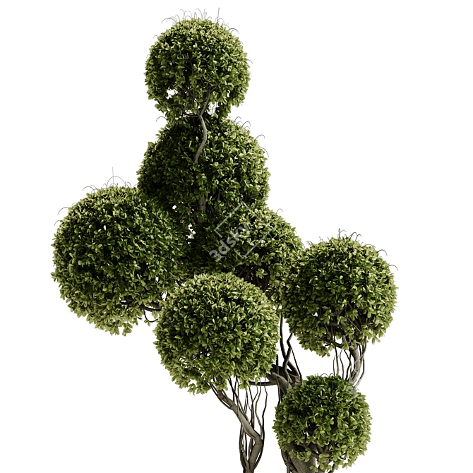 TurboSmooth Topiary Plant 30 3D model image 3