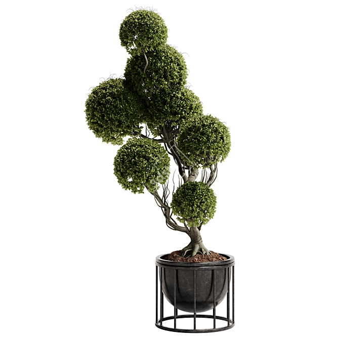 TurboSmooth Topiary Plant 30 3D model image 6