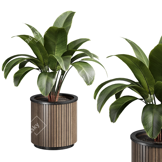 Legacy Outdoor Plant 3D Model 3D model image 3