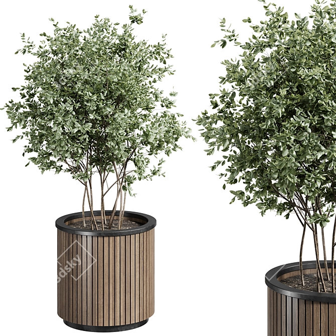 Legacy Outdoor Plant 3D Model 3D model image 4