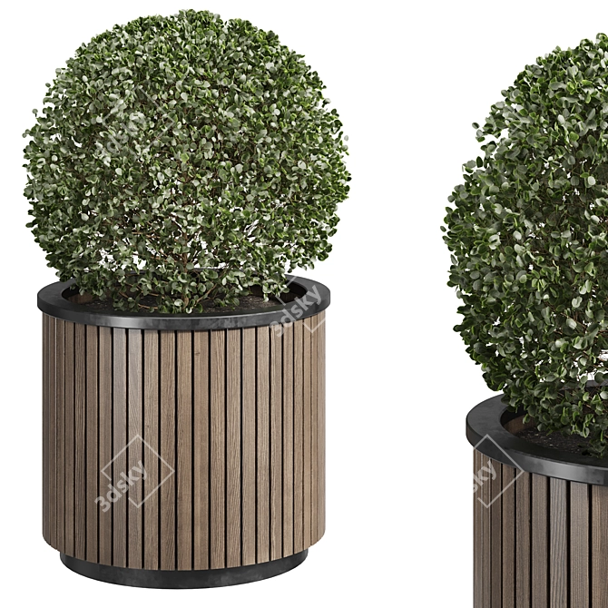 Legacy Outdoor Plant 3D Model 3D model image 5