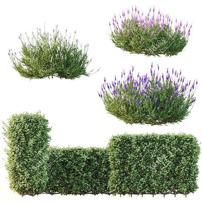 Spring Bush Hedge Set 3D model image 1