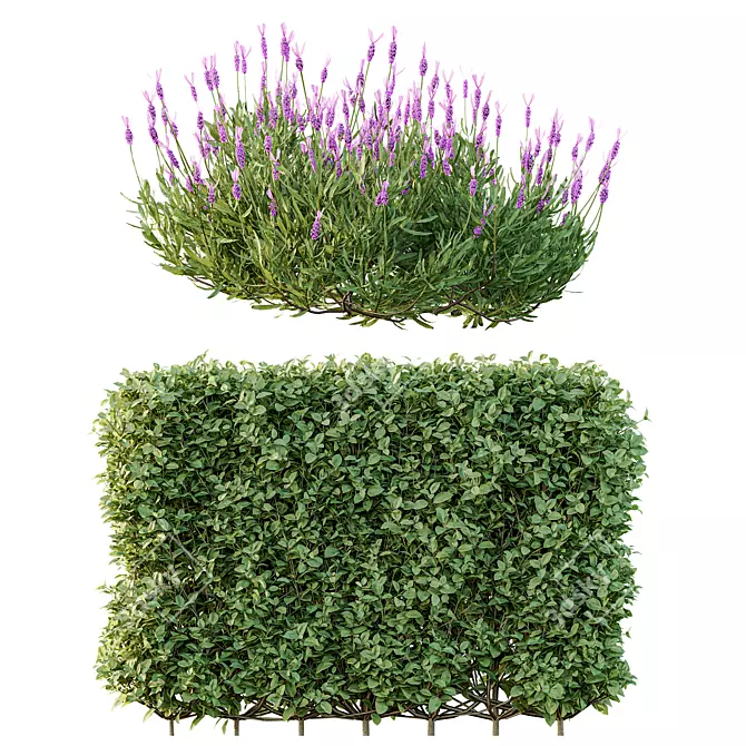 Spring Bush Hedge Set 3D model image 2