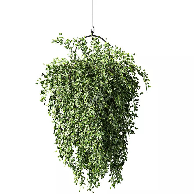 Modern Hanging Plant Set Trio 3D model image 1