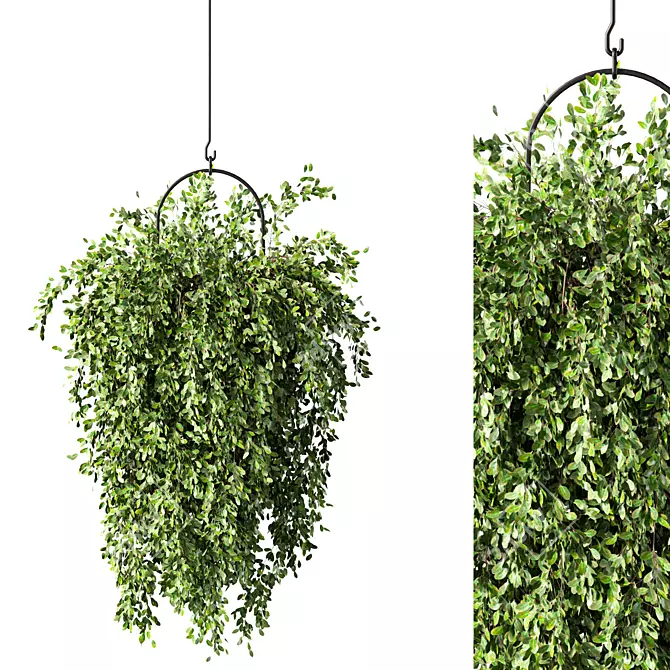 Modern Hanging Plant Set Trio 3D model image 2