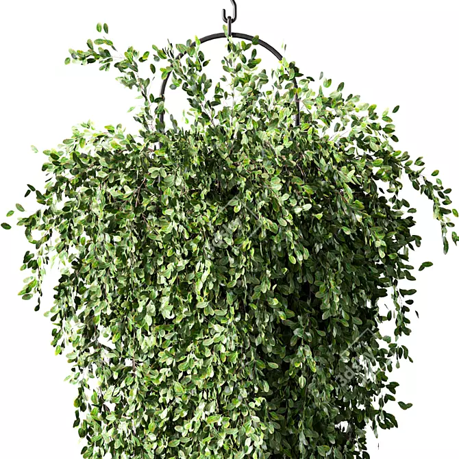 Modern Hanging Plant Set Trio 3D model image 3