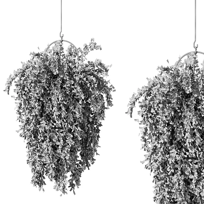 Modern Hanging Plant Set Trio 3D model image 4