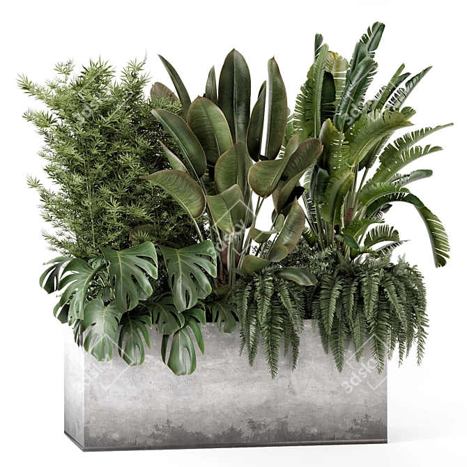 Bamboo Outdoor Plants Concrete Pot 3D model image 1