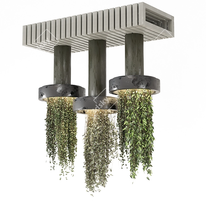  Indoor Hanging Plants Collection 3D model image 4