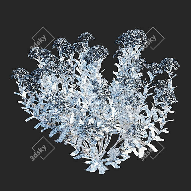 Bush Bupleurum Fruticosum Set 3D model image 3